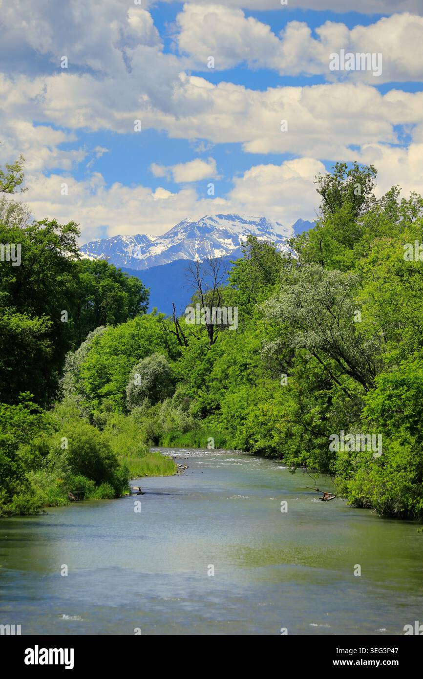 Rivière alpine près de Turin, Parco la Mandria, Italie. Banque D'Images