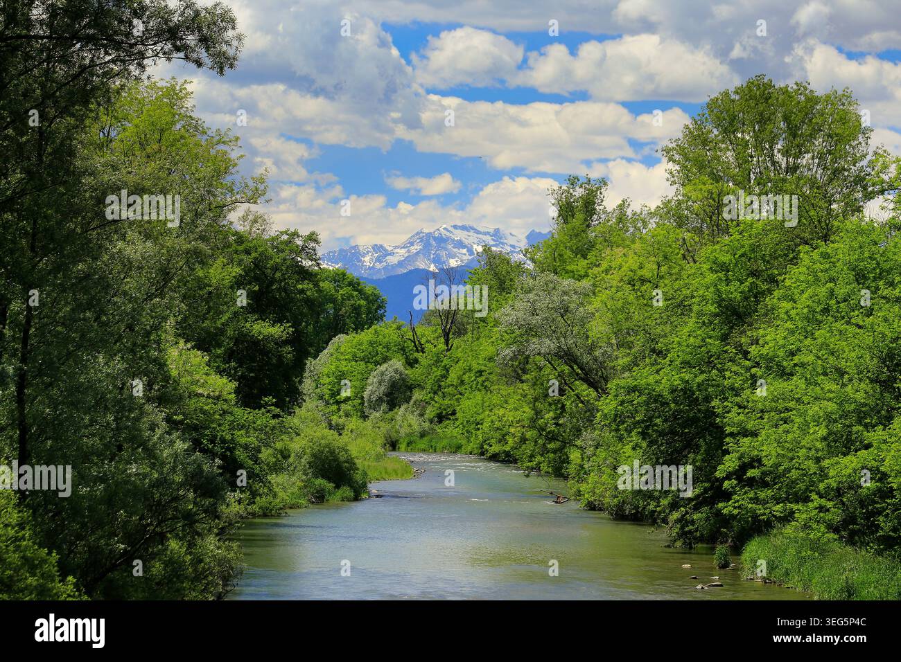 Rivière alpine près de Turin, Parco la Mandria, Italie. Banque D'Images