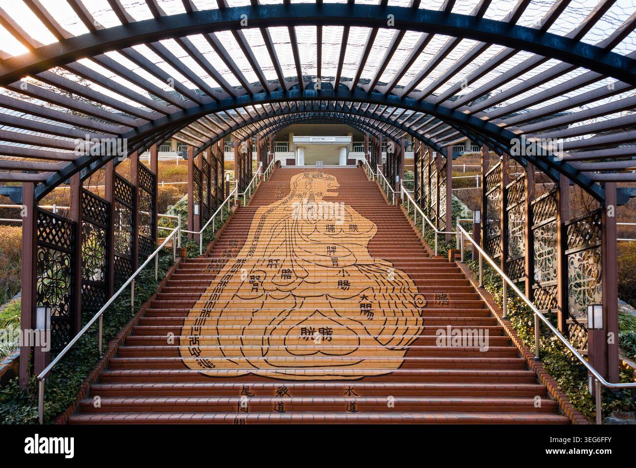 Escalier d'un bâtiment illustré d'organes internes humains, situé dans le village de Donguibogam (parc à thème de médecine orientale), Sancheong, Corée du Sud Banque D'Images