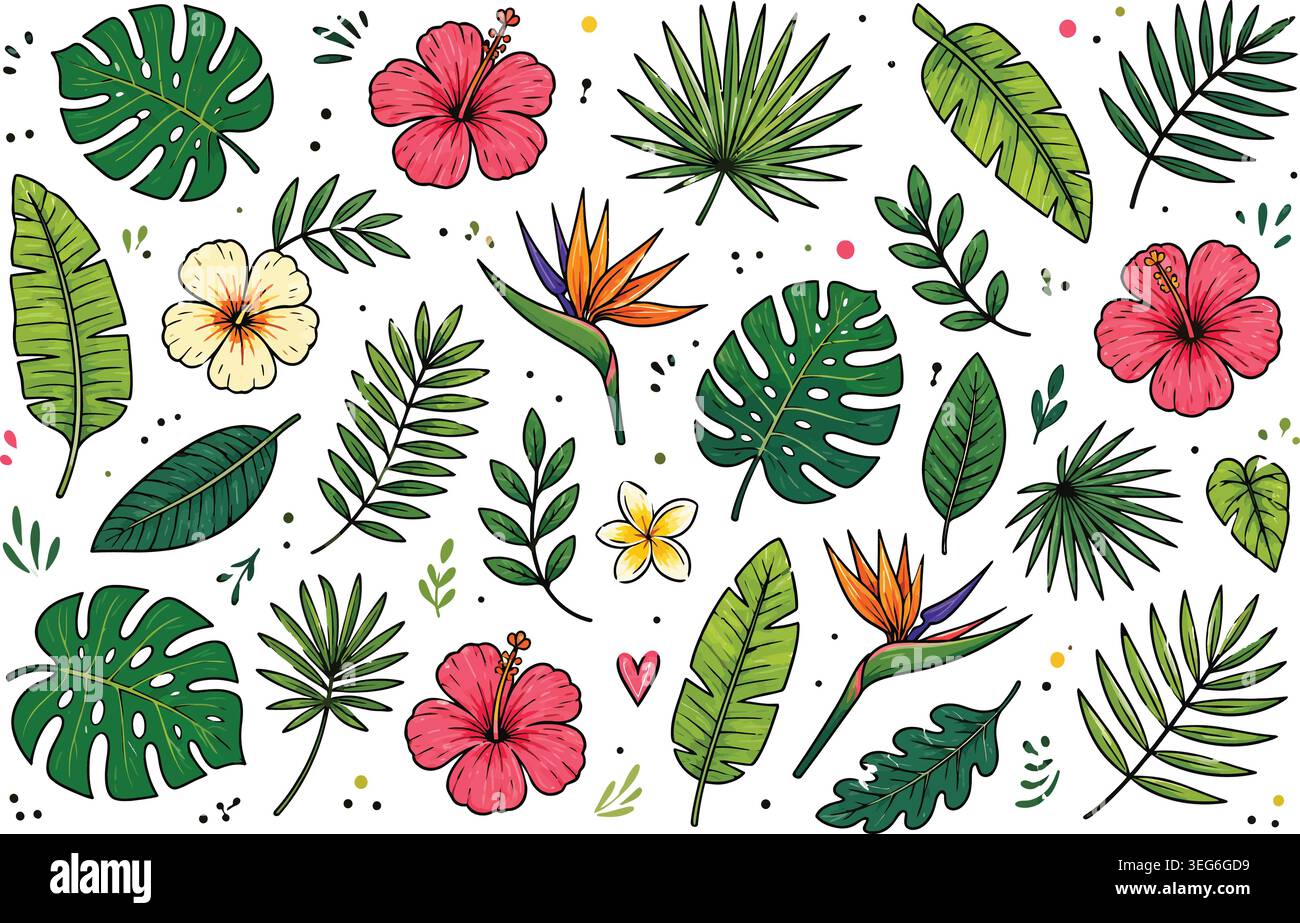 Feuilles tropicales dessinées à la main et fleurs exotiques Doodle Vector illustration Set Illustration de Vecteur