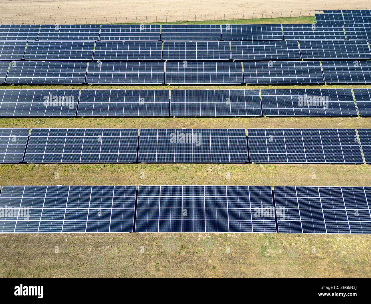Vue aérienne de haut en bas des rangées de panneaux solaires photovoltaïques dans la région de Mazowsze en Pologne Banque D'Images
