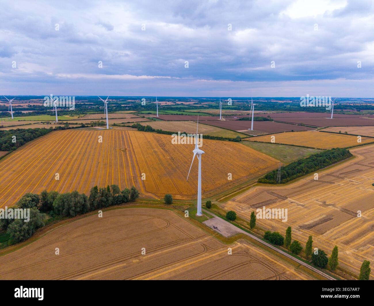 Vue aérienne des éoliennes au-dessus de Golden Farmland énergie renouvelable ferme éolienne dans le paysage de campagne Banque D'Images