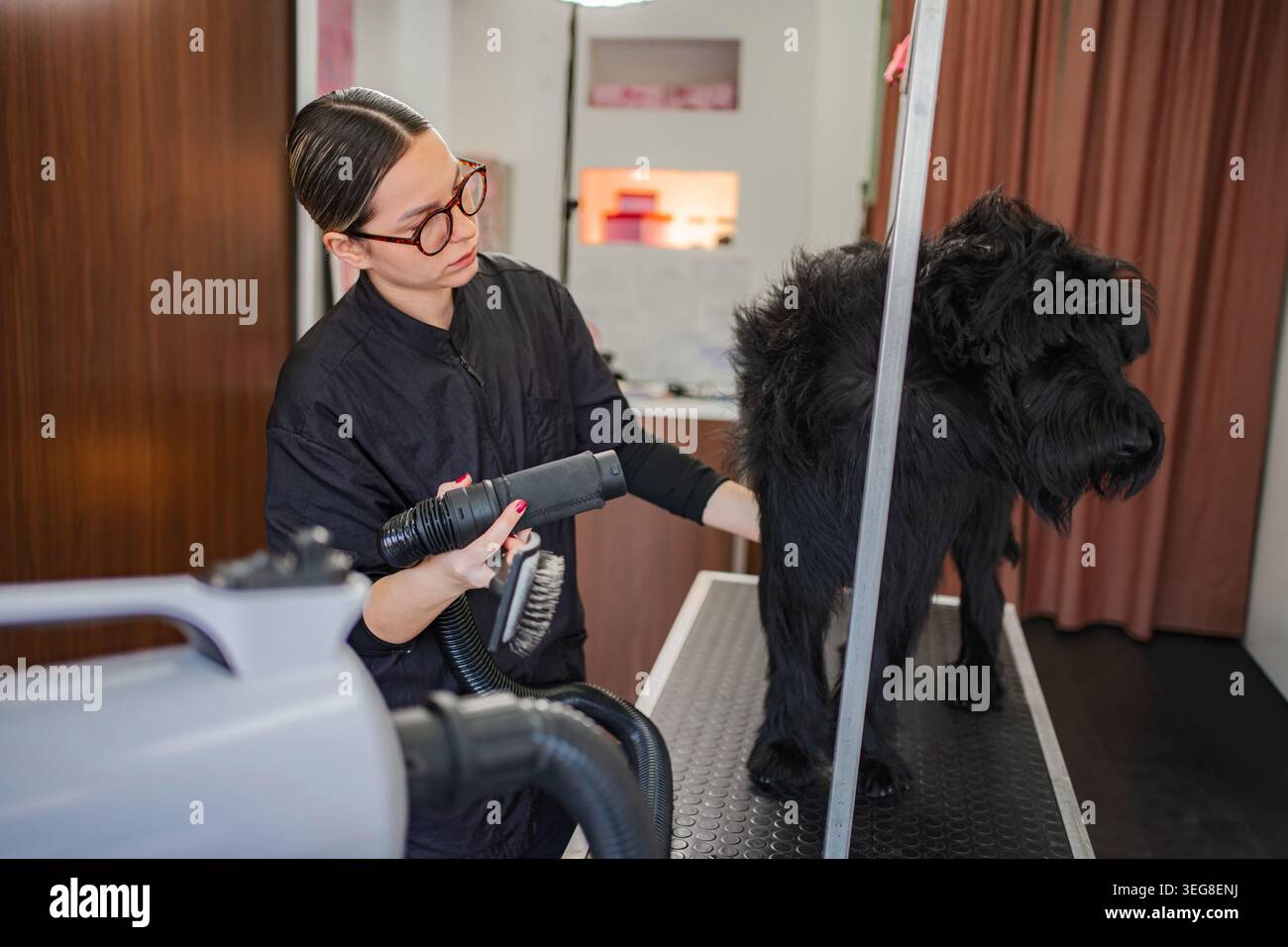 Toiletteur professionnel séchant un chien noir au salon pour animaux de compagnie Banque D'Images
