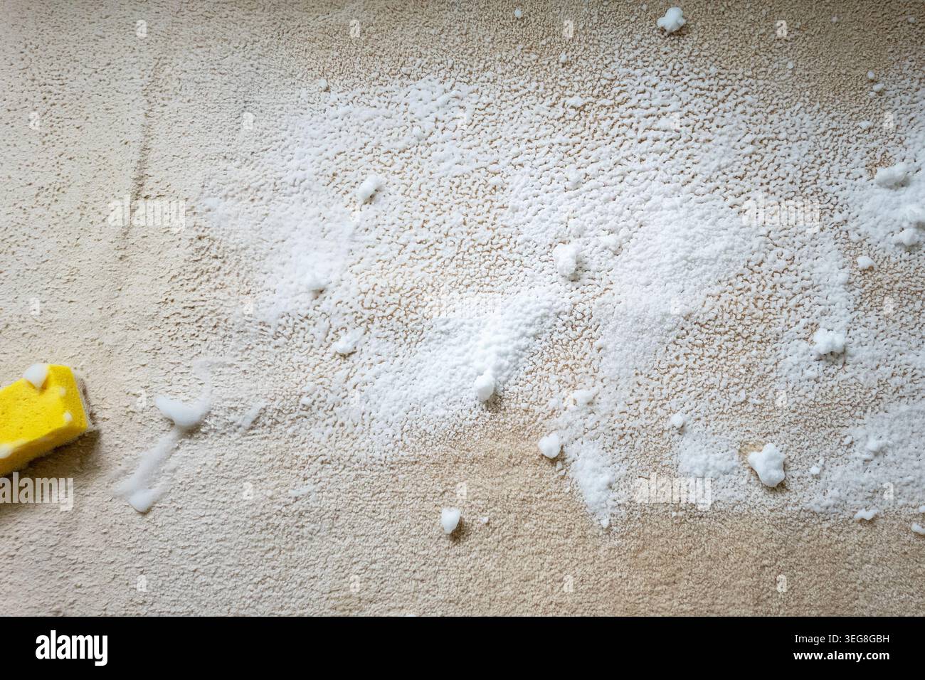 Traitement éponge et mousse sur la zone de tache de tapis beige. Banque D'Images