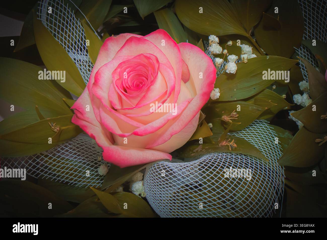 Gros plan d'un élégant bouquet de roses roses entouré de feuillage vert décoratif et de délicats accents floraux dans un arrangement romantique. Banque D'Images