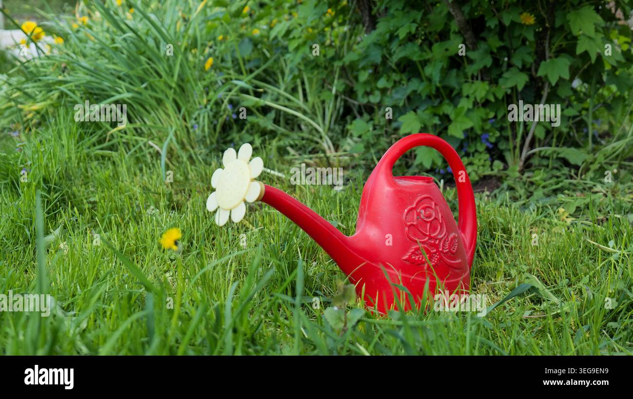 Arrosoir rouge sur herbe verte Banque D'Images