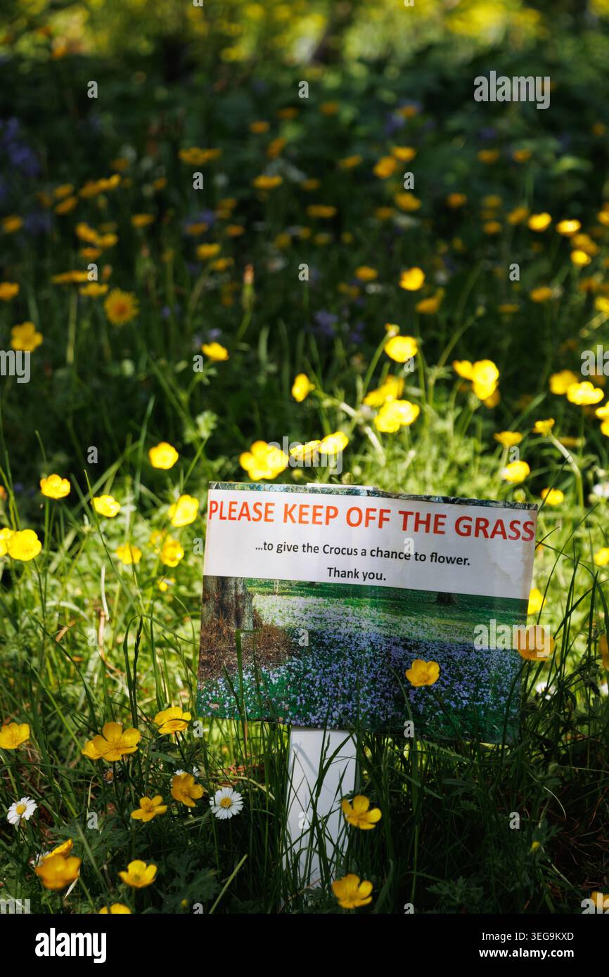 Tenez-vous à l'écart du panneau d'herbe dans le champ en forme de buttercup Banque D'Images