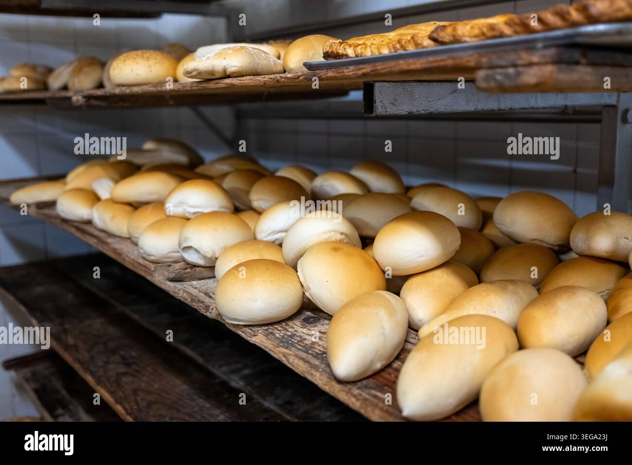 Étagères de boulangerie contenant de nombreux petits pains frais Banque D'Images
