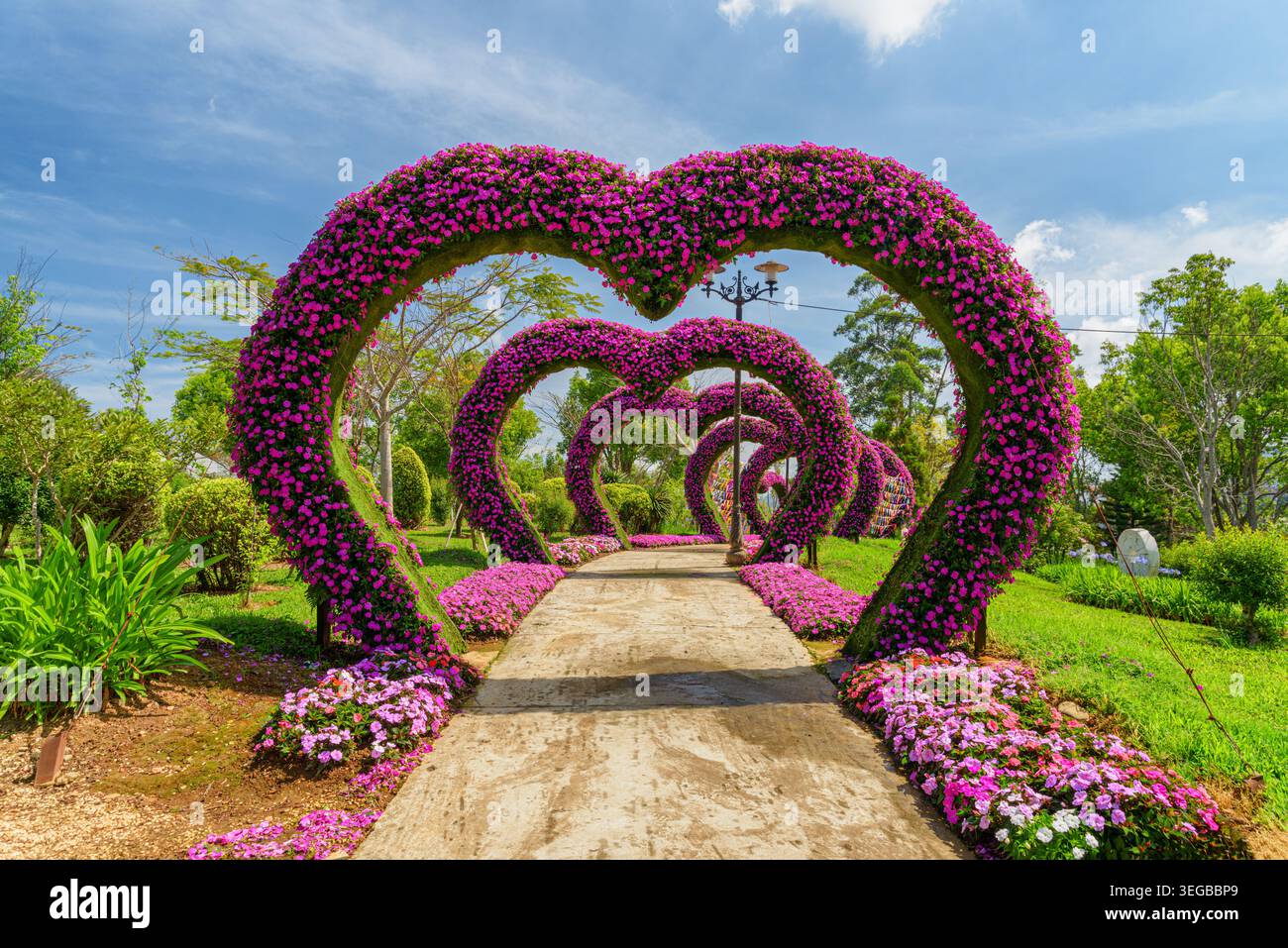 Impressionnant passage décoré avec des arches de fleurs en forme de coeur Banque D'Images