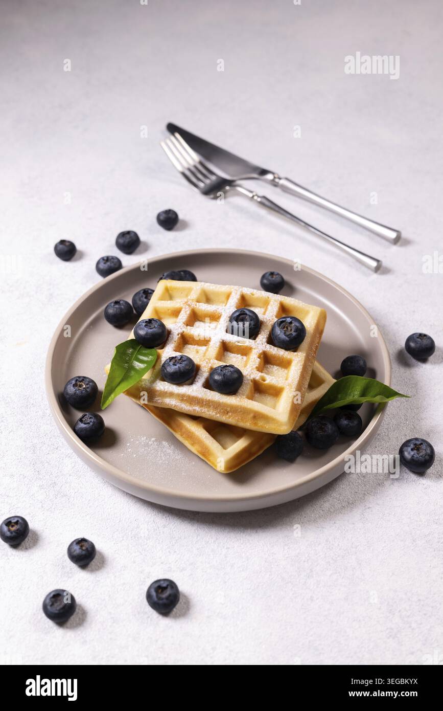 Gaufres fraîchement cuites sur une assiette, garnies de bleuets mûrs, saupoudrées de sucre en poudre et garnies de feuilles de menthe verte, idéales pour un sucré Banque D'Images
