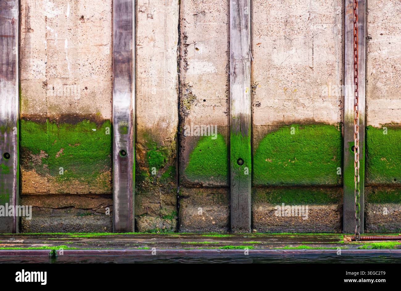 Mur de quai de port en béton avec des défenses en bois algues de mousse verte et chaînes métalliques rouillées au niveau de l'eau dans un port maritime Banque D'Images
