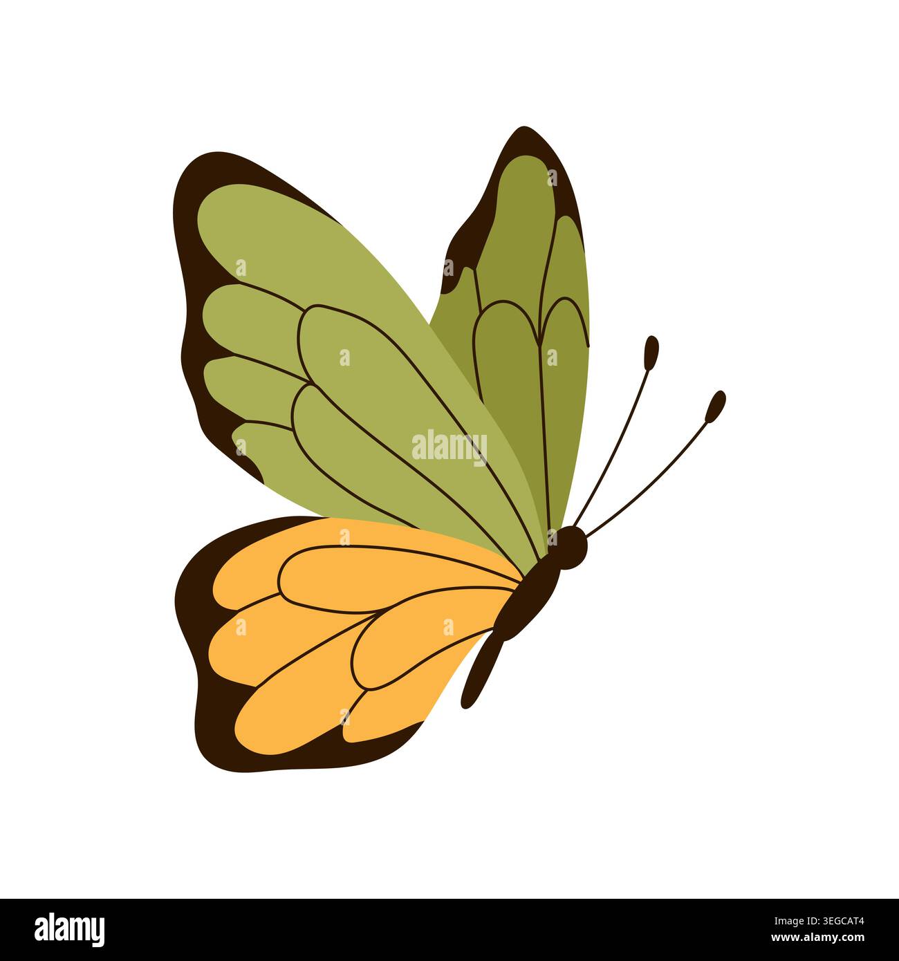 Papillon mignon avec des ailes vertes et jaunes isolé sur fond blanc illustration vectorielle Illustration de Vecteur