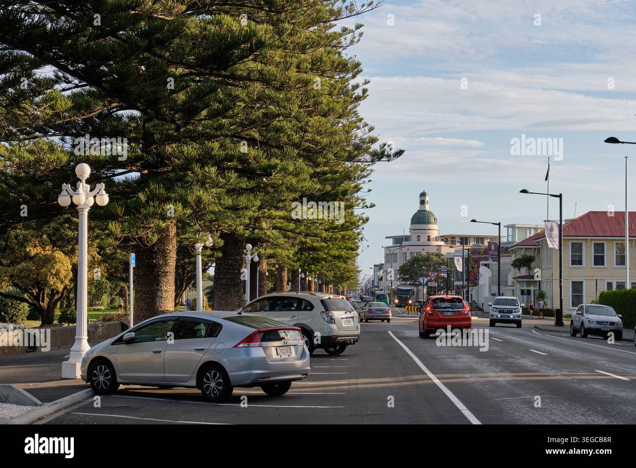 Marine Parade est une promenade côtière emblématique de 3 km, avec des pins Norfolk et une vue imprenable sur l'océan Pacifique - Napier, Nouvelle-Zélande Banque D'Images