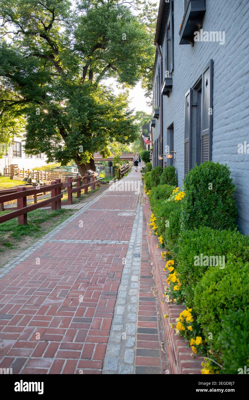 États-Unis Washington DC Georgetown Row homes le long du canal C&O Brick bordé de vieux sentiers de remorquage gens marchant l'été Banque D'Images