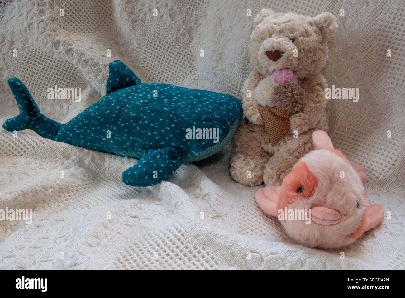 Les Jellycats sont un jouet pelucheux très collectionnable et doux. 2026 Banque D'Images