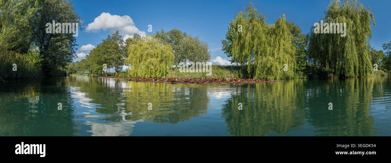 Vue panoramique sur un lac à Poolbridge Farm Wild Swimming, York, Royaume-Uni. Banque D'Images