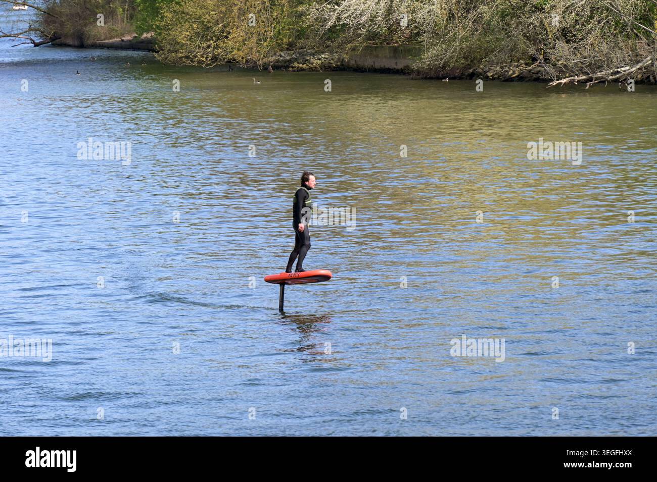 Francfort, Allemagne - 11 avril 2026 - personne en combinaison en équilibre sur un hydroptère automoteur électrique sur le main à Francfort Banque D'Images