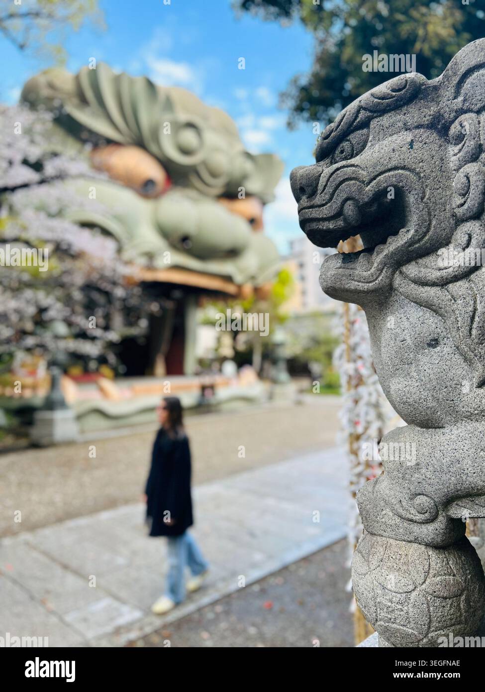 Osaka, Kansai, Japon - 2 avril 2026 : détail d'une statue de lion en pierre gardien traditionnelle au sanctuaire Namba Yasaka, avec un visiteur de passage et le massi Banque D'Images