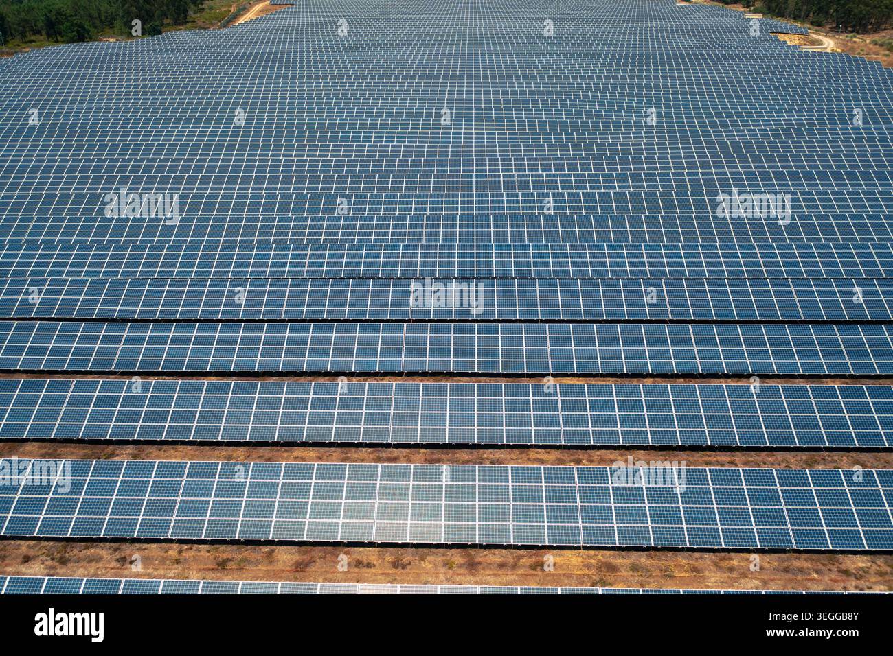 Vue aérienne par drone d’une vaste centrale solaire avec d’innombrables rangées de panneaux photovoltaïques installés sur un terrain sec générant de l’énergie renouvelable propre Banque D'Images