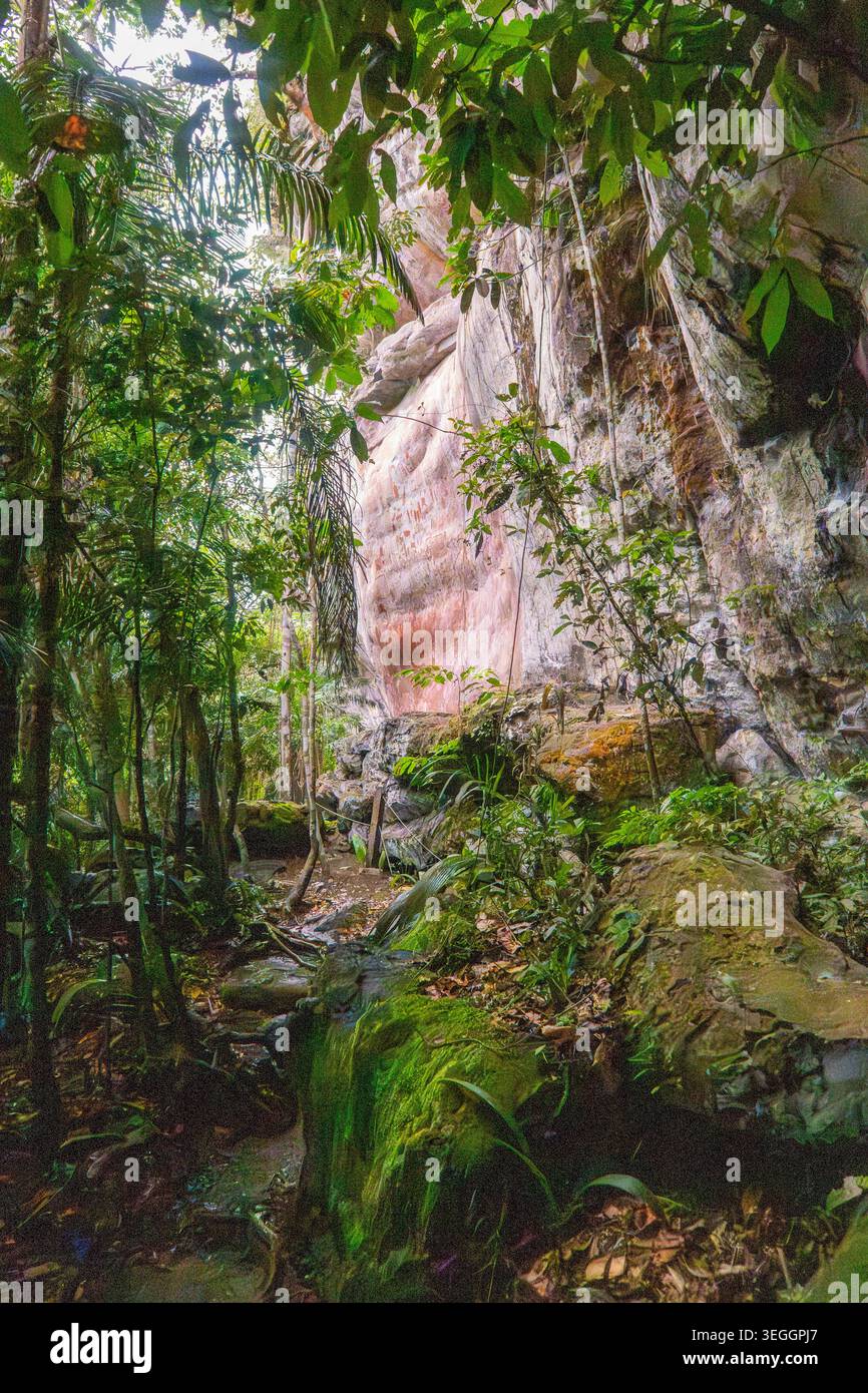 Verdure luxuriante entourant Pink Rock face dans Forest. Banque D'Images