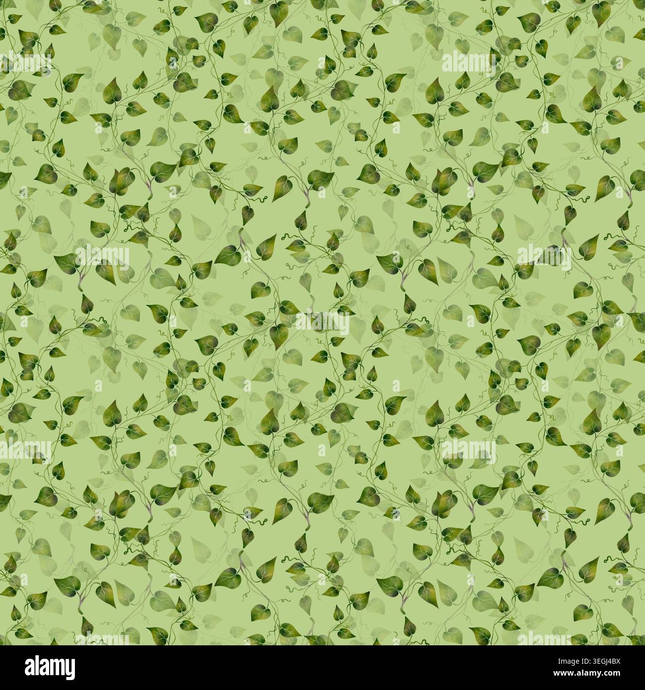 Motif sans couture avec des feuilles de lierre vert et des vignes grimpantes en composition botanique. Illustration de dessin d'aquarelle dessinée à la main avec des éléments végétaux, idéal pour l'emballage de papier peint en tissu textile. Banque D'Images
