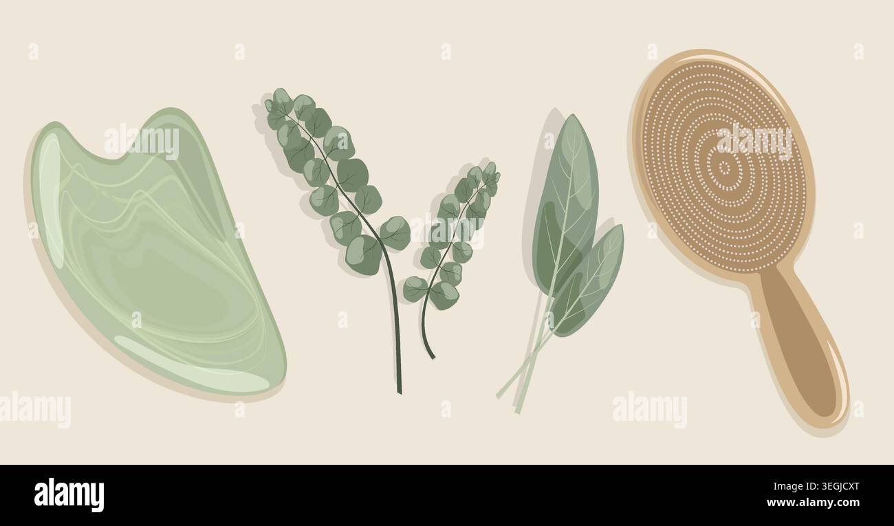 Minimaliste Spa Set Vector vue de dessus de Jade Guasha Stone brosse de massage en bois herbes de sauge et branches d'eucalyptus pour Eco Wellness Skincare Branding Illustration de Vecteur