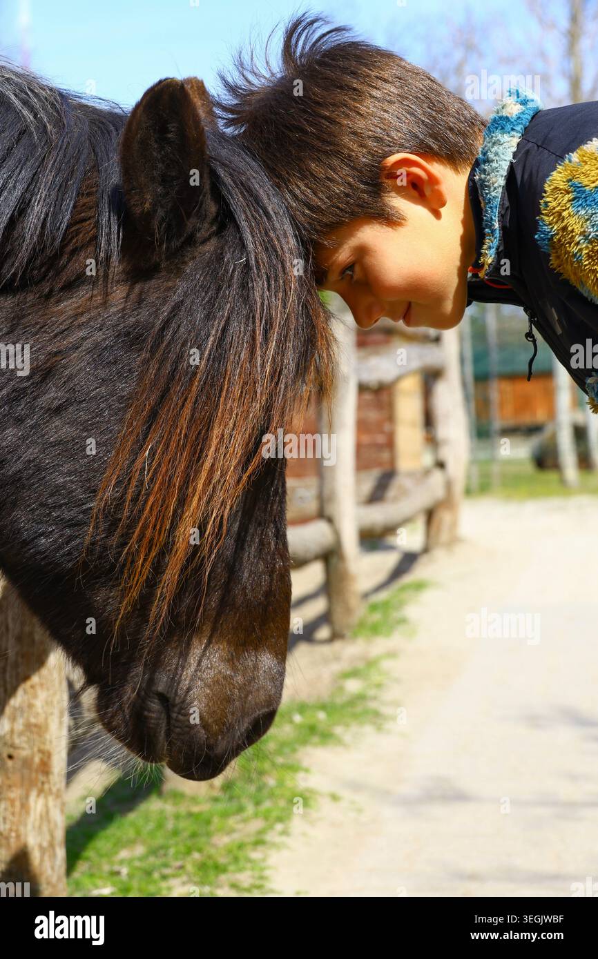 garçon touchant le front de cheval sombre avec une longue crinière, contact étroit équin dans la ferme ou l'enceinte du zoo, zone animale extérieure avec clôture en bois et pa stable Banque D'Images