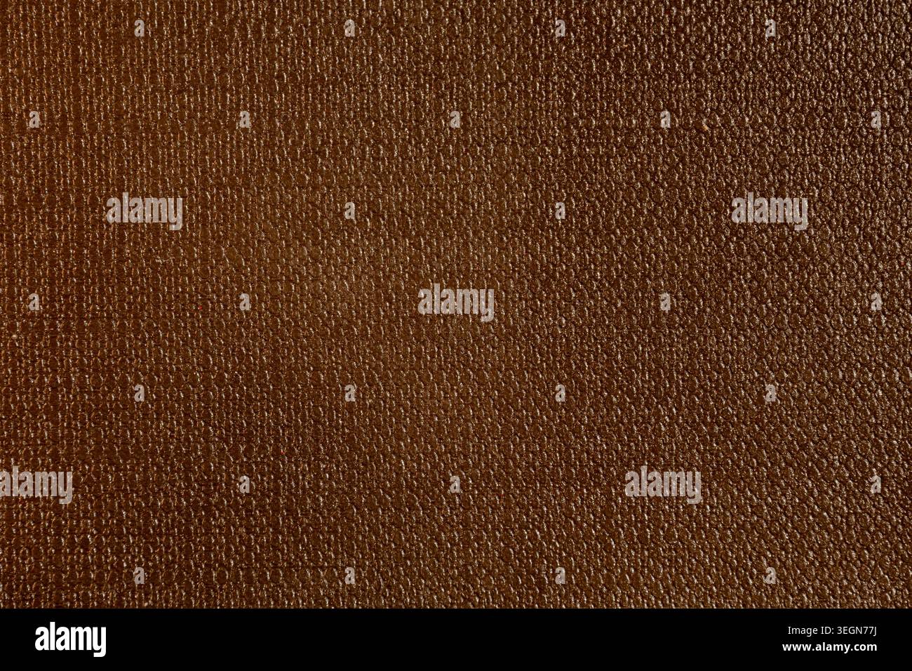 Vue macro détaillée du cuir texturé montrant un grain fin Banque D'Images
