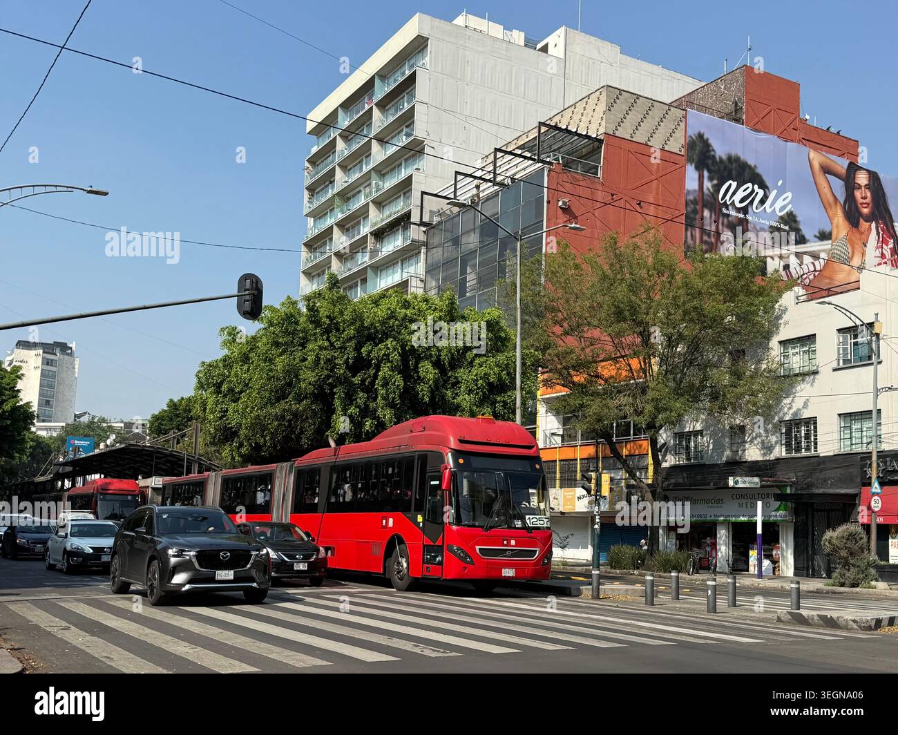 Un bus rouge Metrobús se déplace le long de l’Avenida Insurgentes, l’un des couloirs de transport les plus fréquentés de Mexico, avec circulation, bâtiments modernes et piétons Banque D'Images