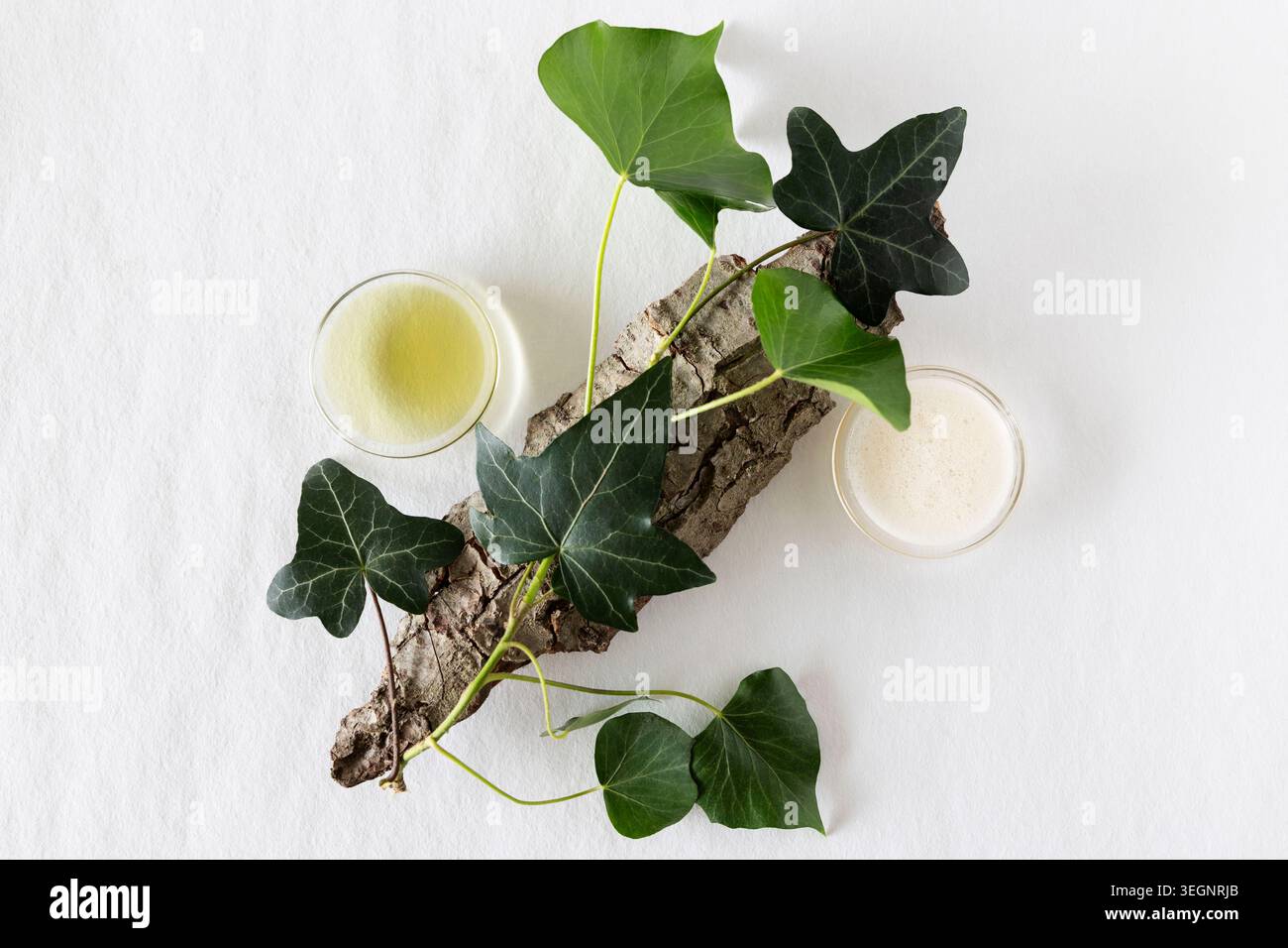Cosmétiques faits maison à base de feuilles de lierre, shampooing ou savon Banque D'Images