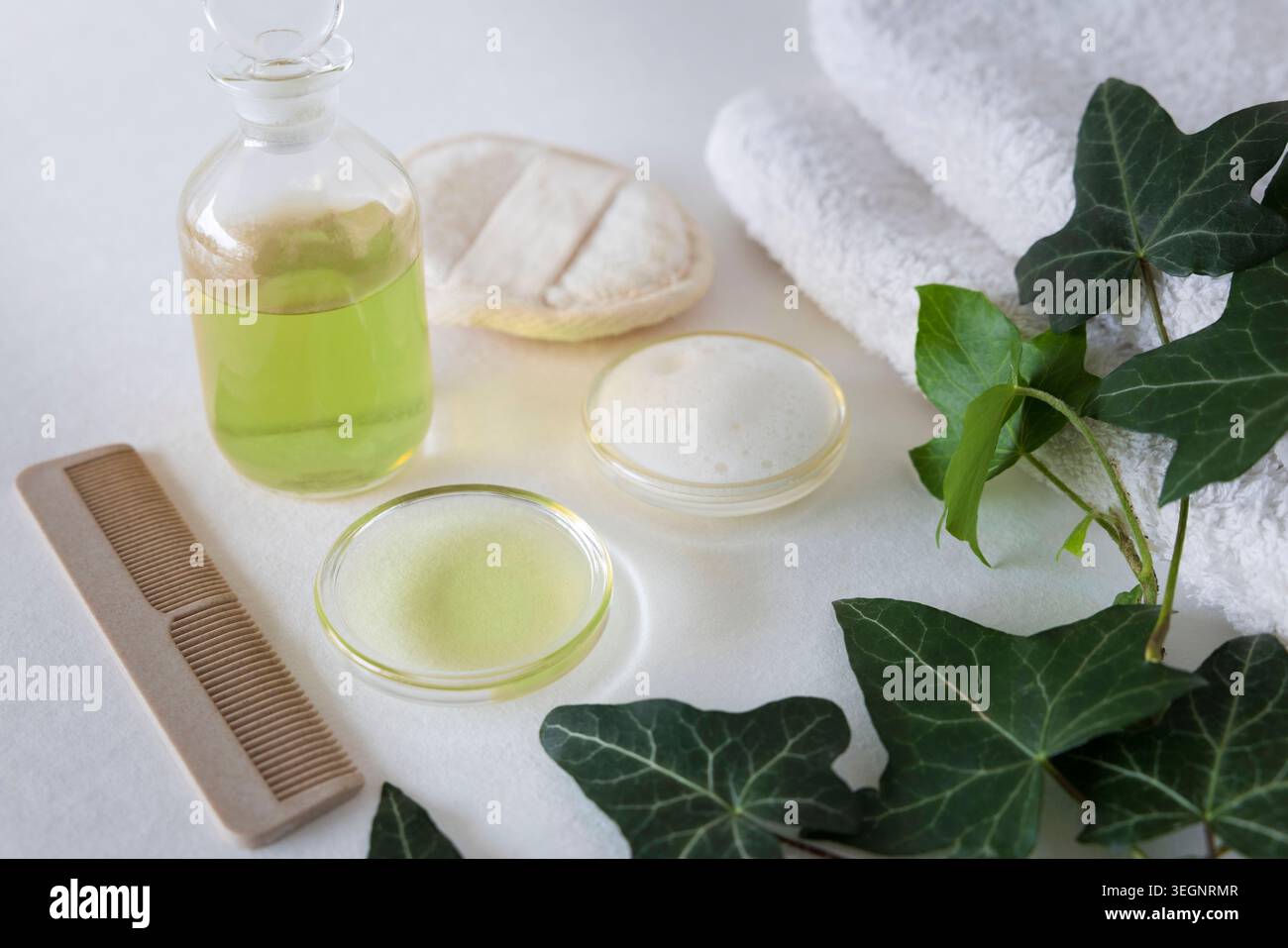 Cosmétiques faits maison à base de feuilles de lierre, shampooing ou savon Banque D'Images