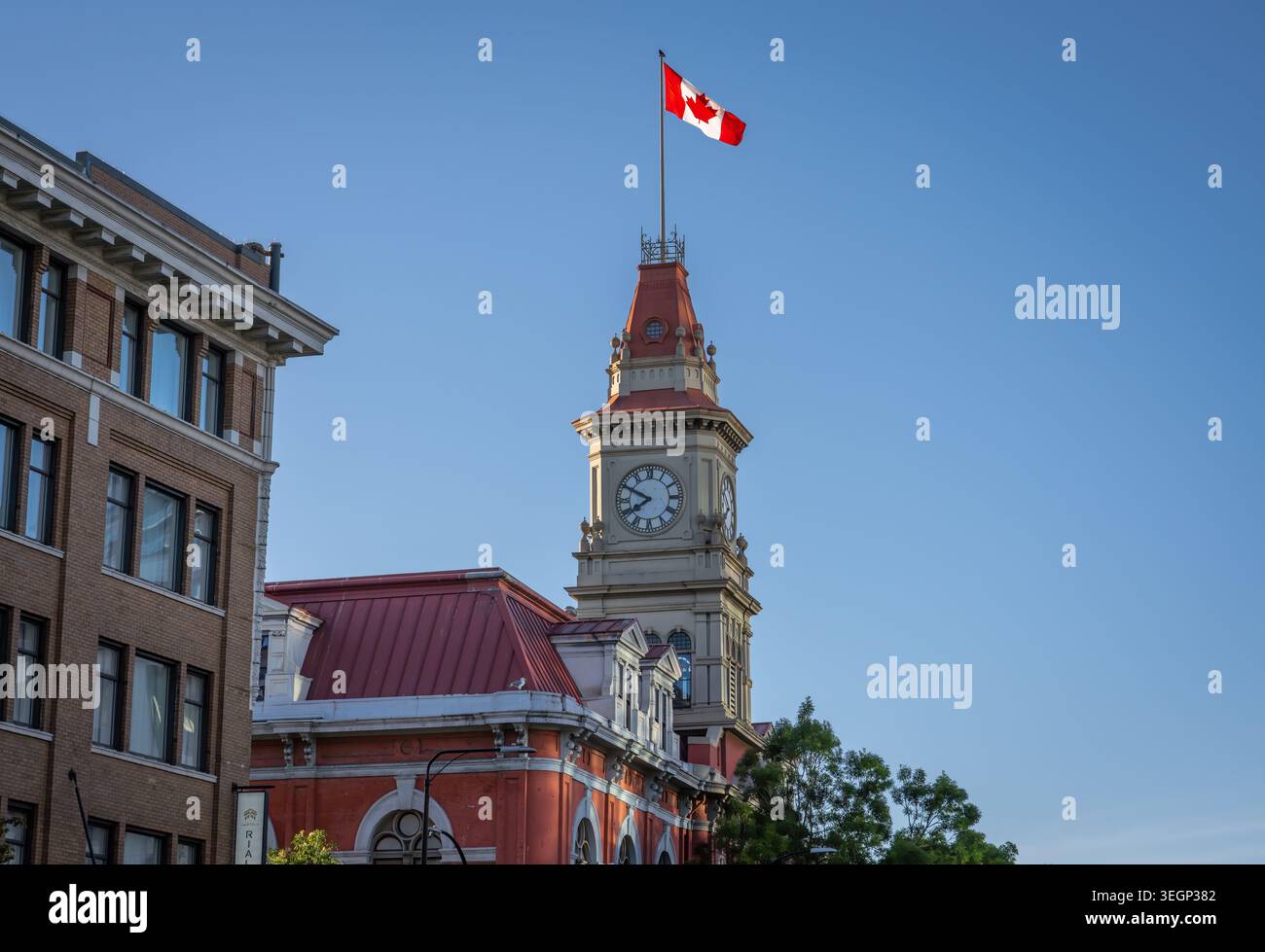 Hôtel de ville de Victoria - Victoria, C.-B., Canada Banque D'Images