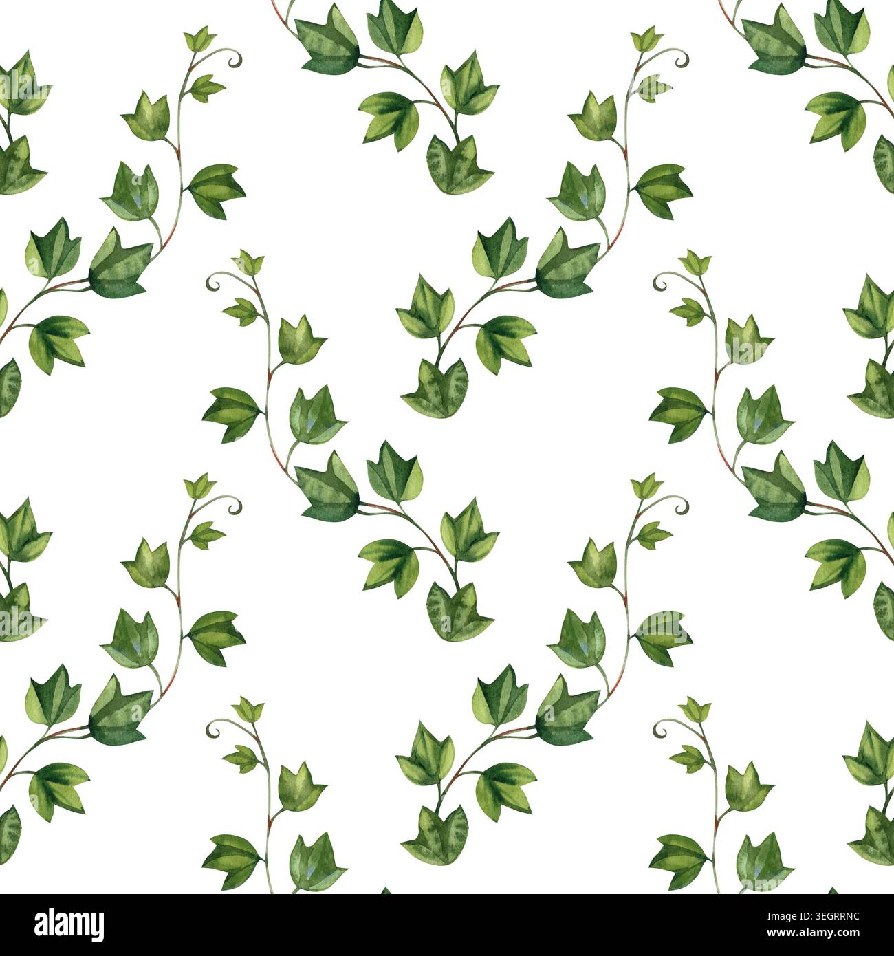 Motif aquarelle sans couture avec d'élégantes branches de lierre vert et des brindilles grimpantes avec des feuilles. Illustration botanique délicate pour invitations de mariage Banque D'Images