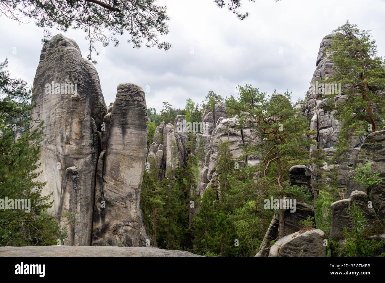 Exploration des formations de grès stratifiées avec des passages forestiers étroits et des crêtes adrspach rocheuses Banque D'Images