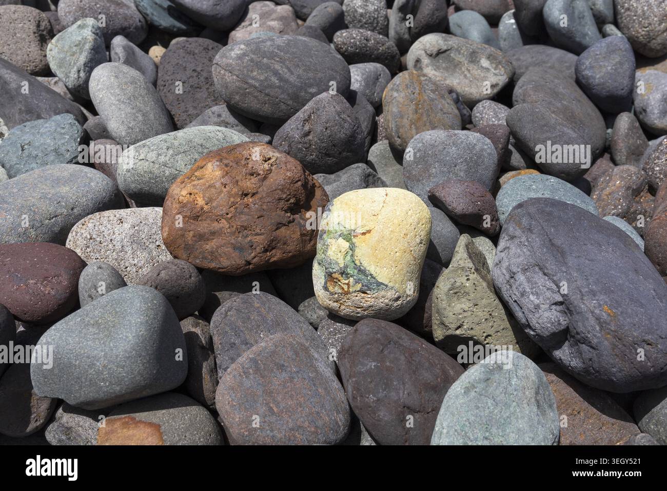 Texture naturelle de pierres volcaniques colorées et lisses sur une plage éloignée de Gran Canaria, îles Canaries, Espagne. Banque D'Images
