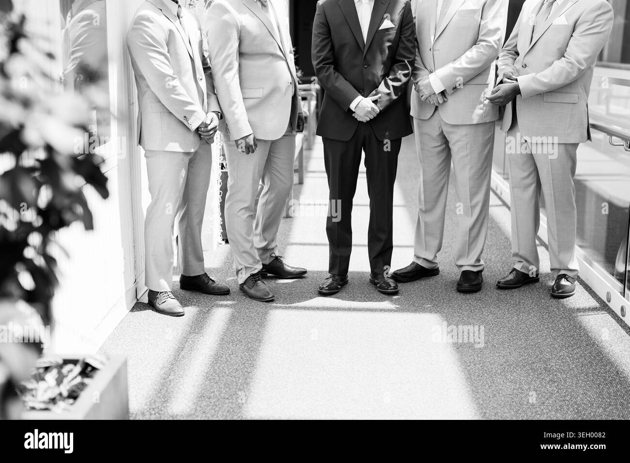 Groupe d'hommes en costumes formels au jardin botanique de Toronto Banque D'Images