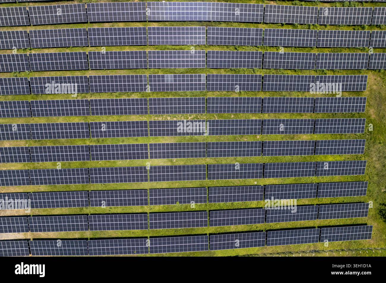 Vue aérienne d'une grande ferme de panneaux solaires avec des rangées de panneaux photovoltaïques installés sur de l'herbe verte à Guanaja, département des îles Bay, Honduras. Banque D'Images