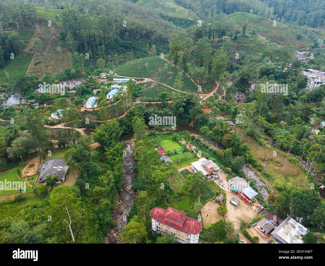 Vue aérienne de plantations de thé luxuriantes sur des collines, des maisons dispersées et un ruisseau sinueux entouré d'arbres tropicaux denses à Nallathanniya, cent Banque D'Images