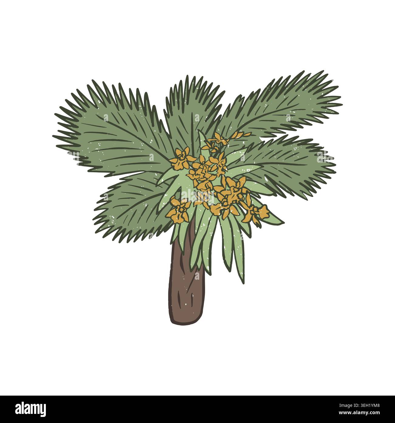 Illustration vectorielle texturée de palmier tropical avec des fleurs d'orchidée jaunes. Illustration de Vecteur