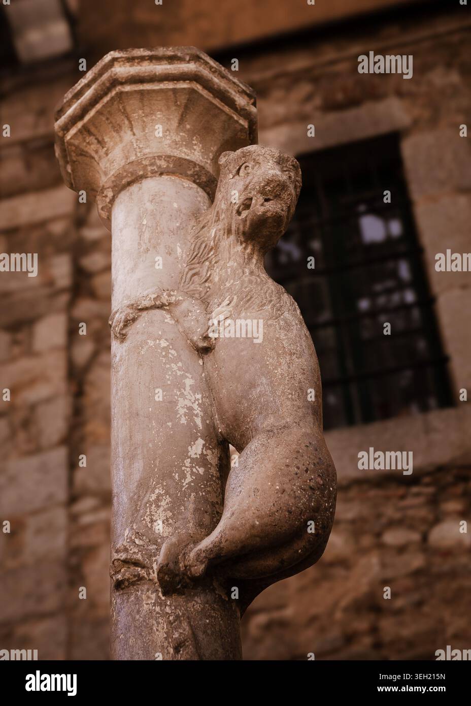 Sculpture gothique de gargouille de lion à Gérone Espagne avec sculpture médiévale en pierre et détail historique de l'architecture. Point de repère atmosphérique pour les voyages culturels et le tourisme patrimonial. Photo de haute qualité Banque D'Images