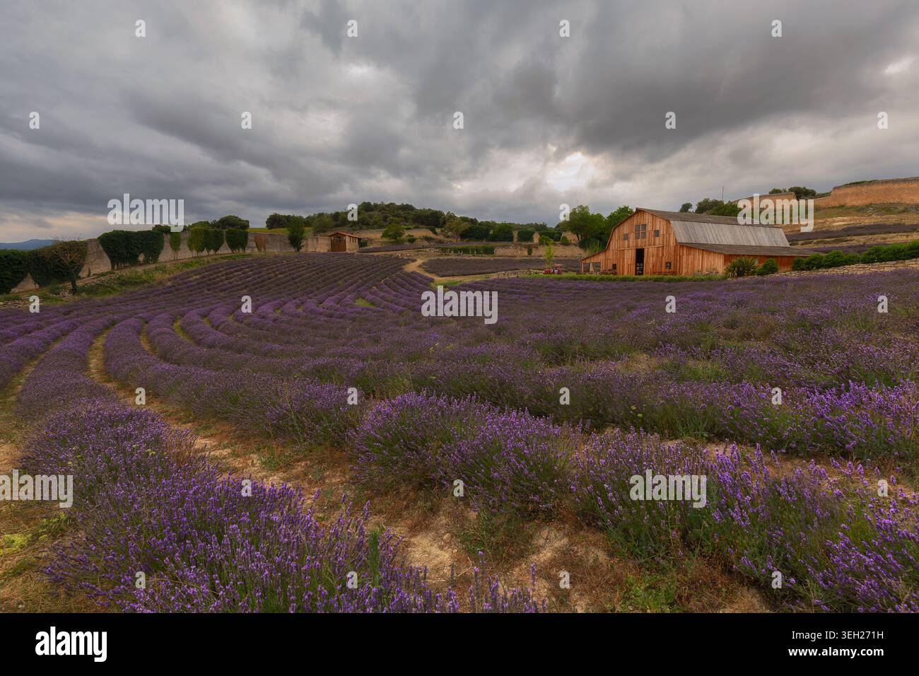 Granero de San Francisco à Santa Gadea del CID, Espagne Banque D'Images