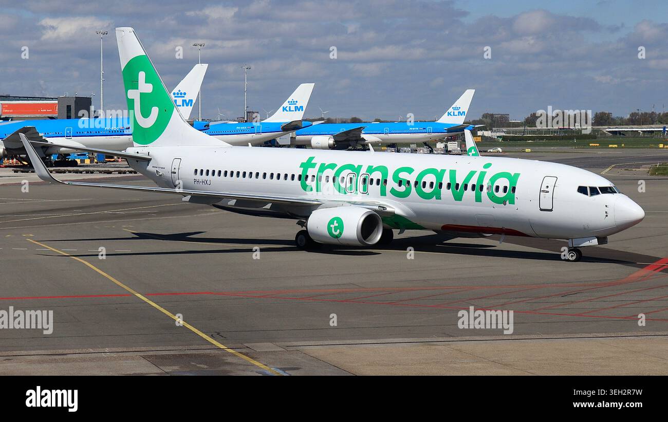 Plan d'un Boeing 737-800 de Transavia (PH-HXJ) roulant jusqu'à la porte d'embarquement. Photo prise depuis le terminal de l'aéroport d'Amsterdam Schiphol le 20 avril 2025. Banque D'Images