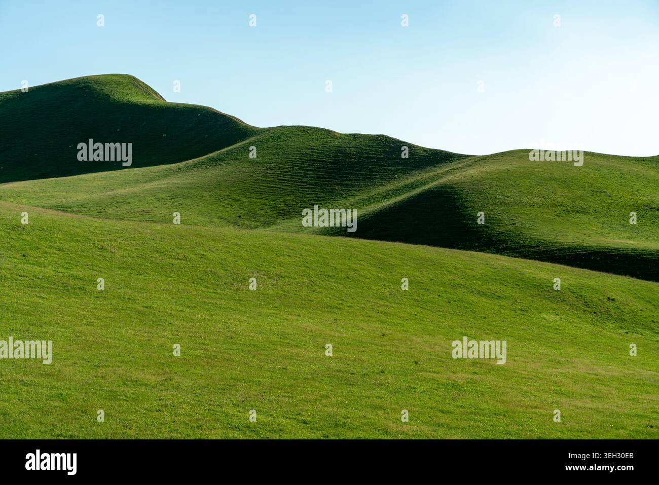 Collines verdoyantes sous un ciel bleu clair. Un paysage pittoresque avec des collines verdoyantes et herbeuses avec des courbes lisses sous un ciel lumineux et sans nuages Banque D'Images
