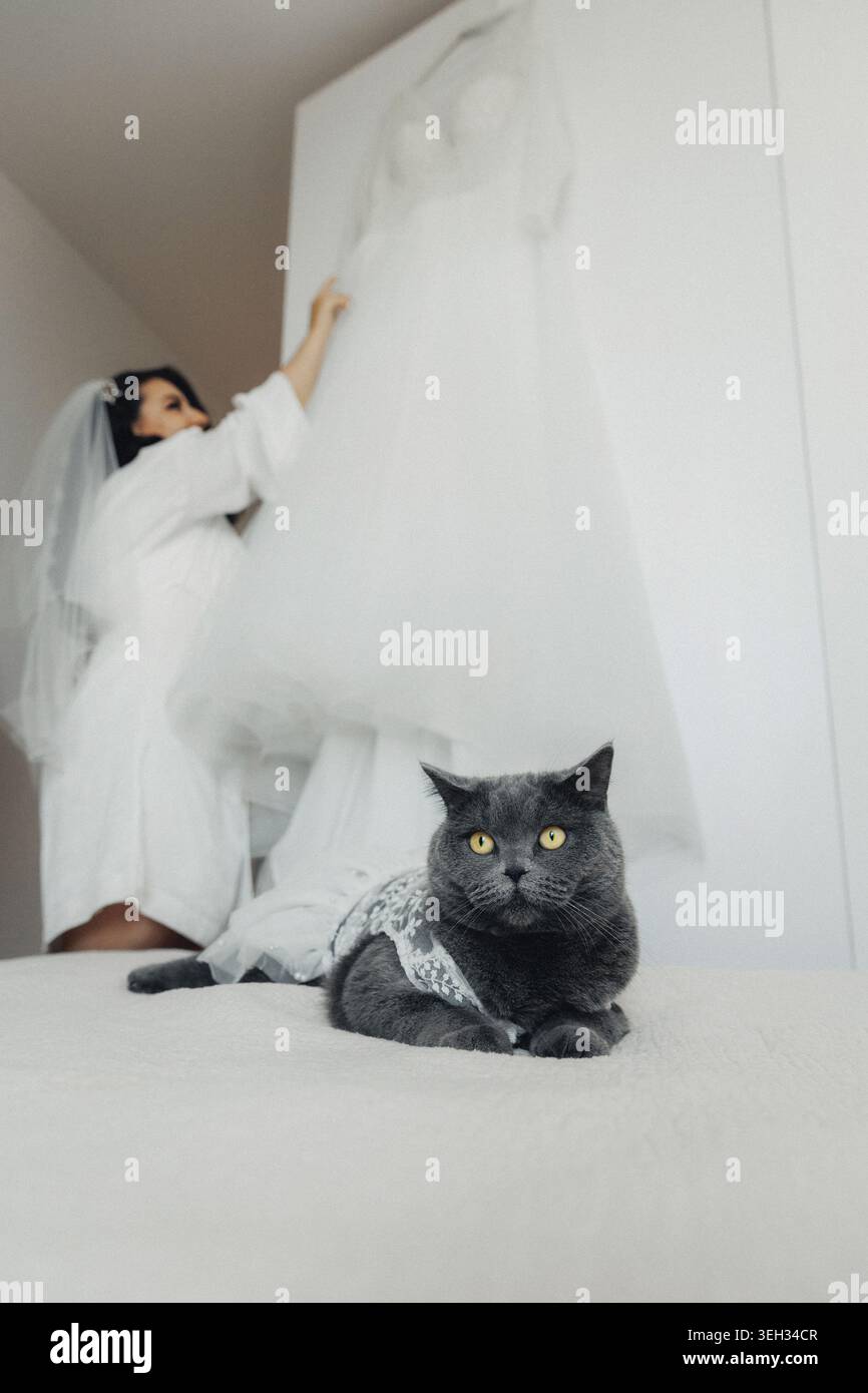 Mariée dans la robe blanche atteint pour le voile ci-dessus Banque D'Images