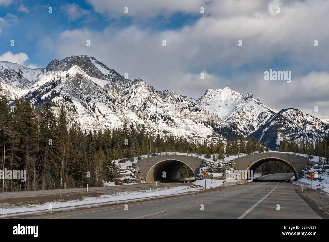 Wildlife overpass banff national park Banque de photographies et d ...