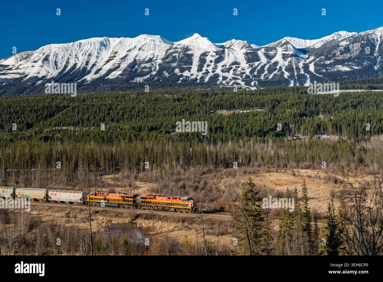 Une vue sur la montagne avec un train de marchandises dans la vallée près de Golden, Colombie-Britannique, Canada. Banque D'Images