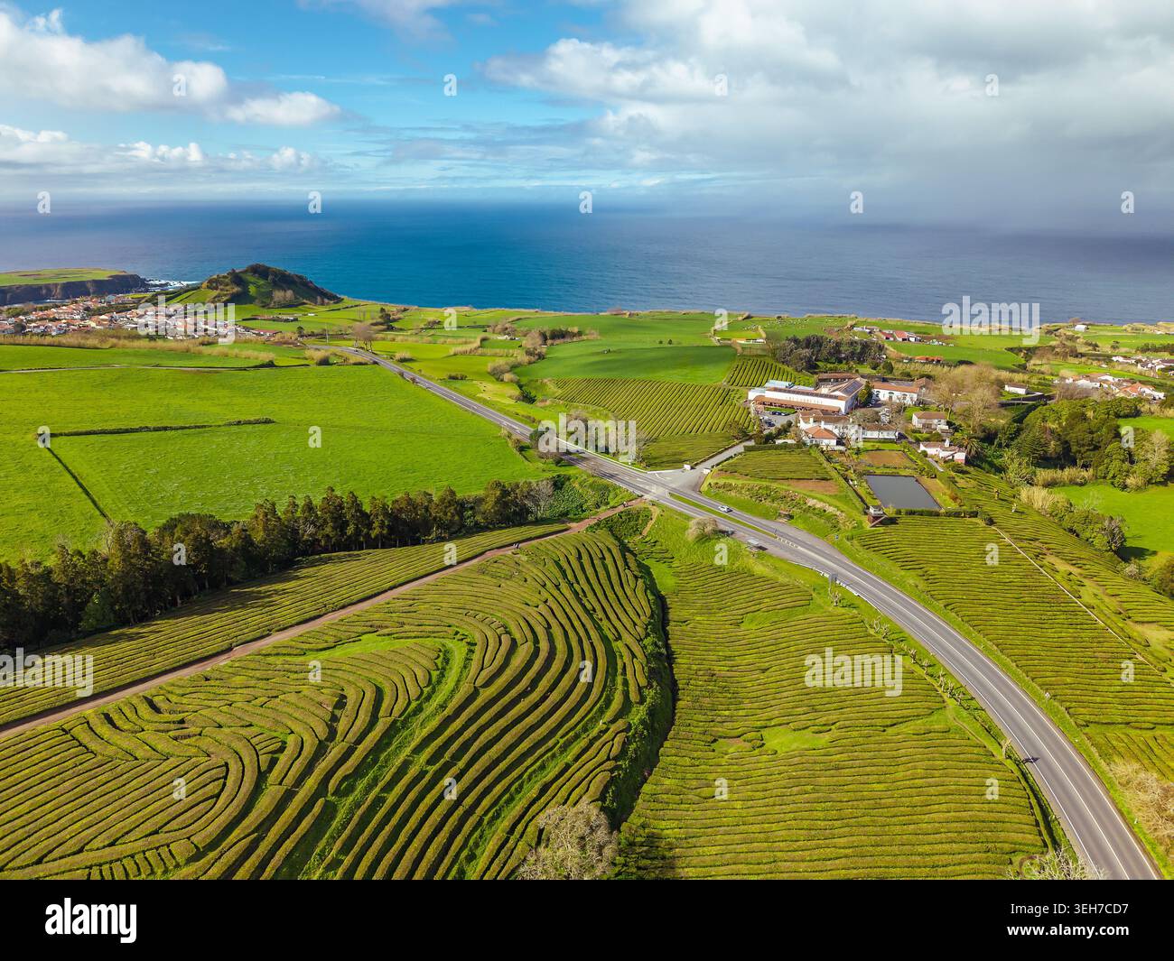 Vue aérienne de l'usine de thé Gorreana et plantation aux Açores Portugal. Banque D'Images
