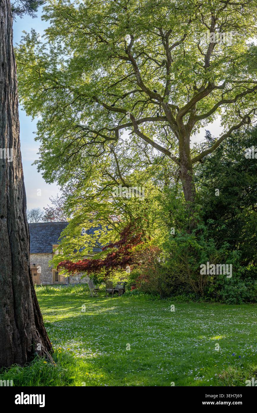 Jardin de campagne anglais paisible Banque D'Images