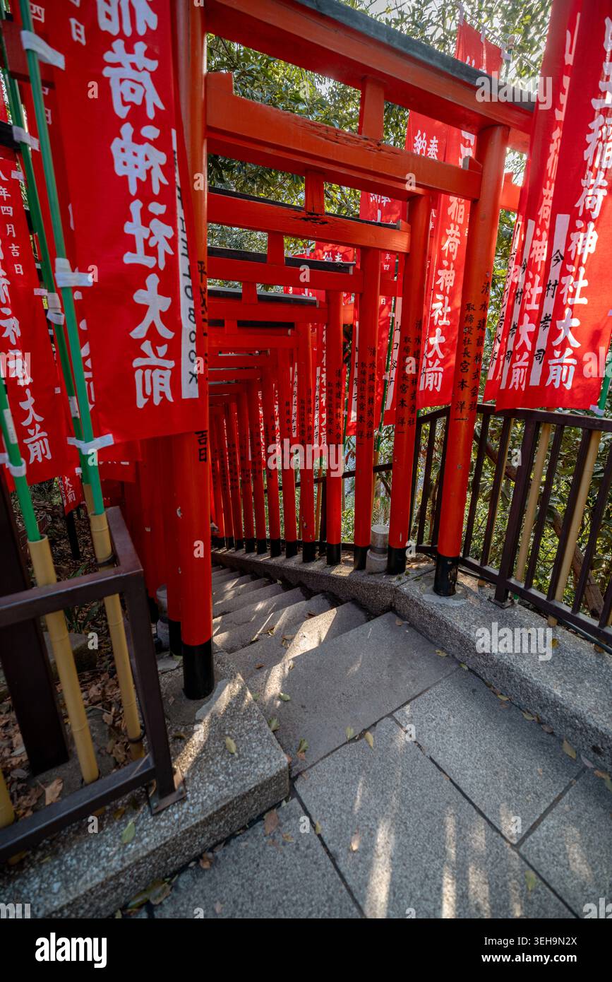 Portes Vermilion torii le long du sentier Senbon Torii au sanctuaire Hie à Tokyo, Japon. Banque D'Images