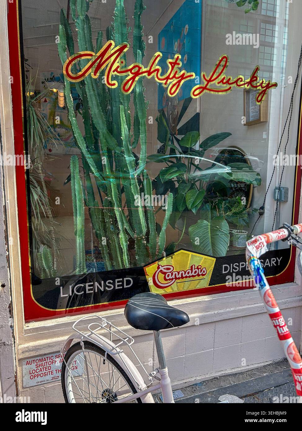 New York City, NY, États-Unis, cannabis Dispensary, marijuana légale, boutique avant, panneau de détail, « Mighty Lucky » (The Bowery) Banque D'Images